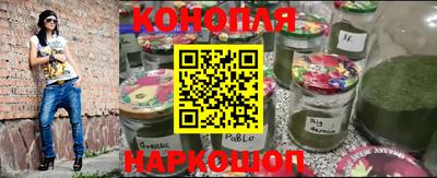 гашик Новозыбков