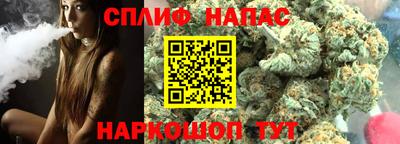 гашик Новозыбков