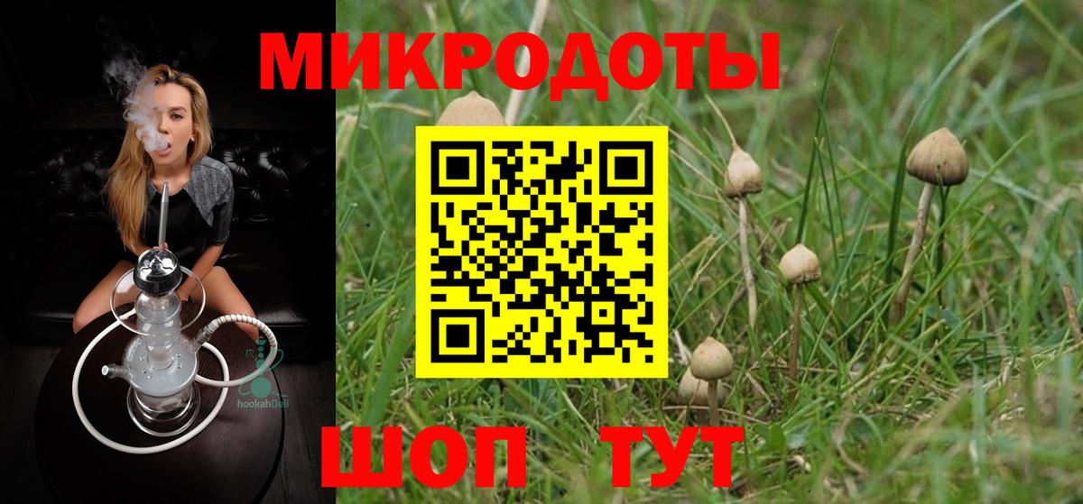 Галлюциногенные грибы ЛСД Усть-Джегута