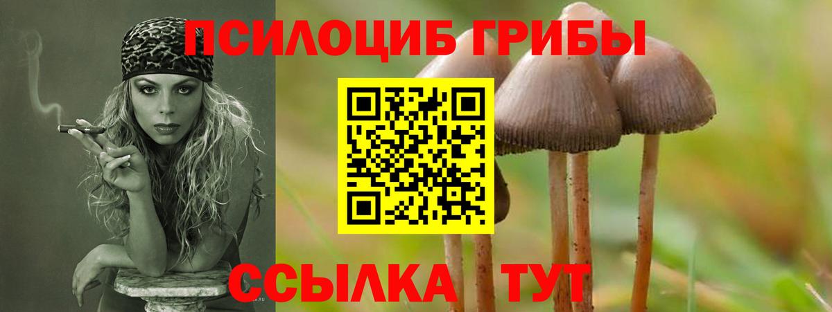 Усть-Джегута  Псилоцибиновые грибы Psilocybe  Псилоцибиновые грибы GOLDEN TEACHER  наркота  Вход с VPN 